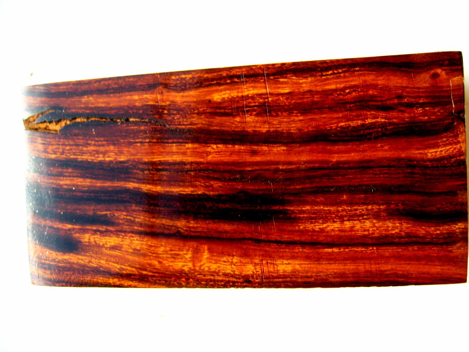 Аризонское железное дерево айронвуд