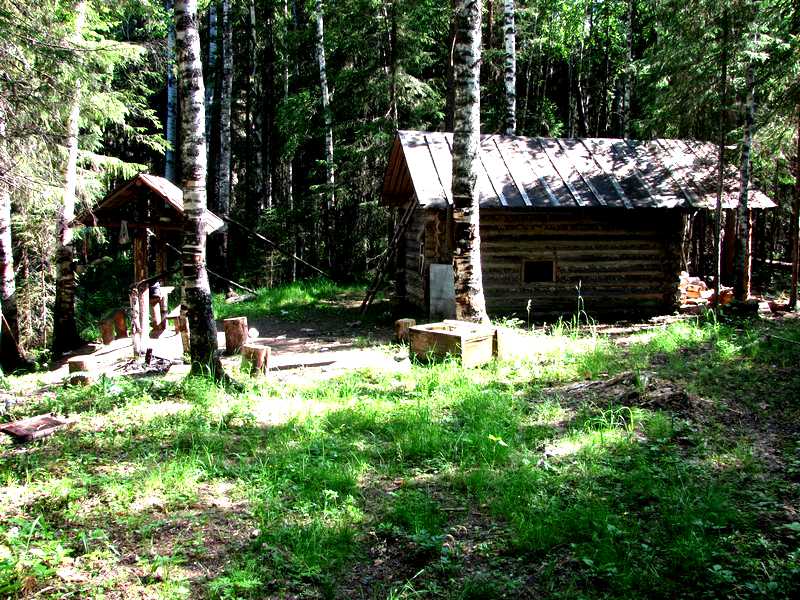 Мендсары ленинградская область лесная избушка. Заповедник Лесная избушка. Лесная избушка Санкт-Петербург. Лесные избушки в Архангельской. Охотничья изба.