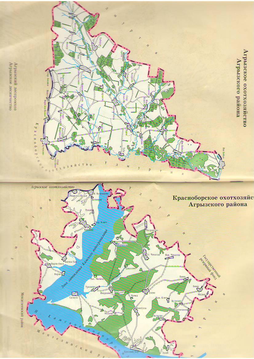 Татарстан карта агрызский район