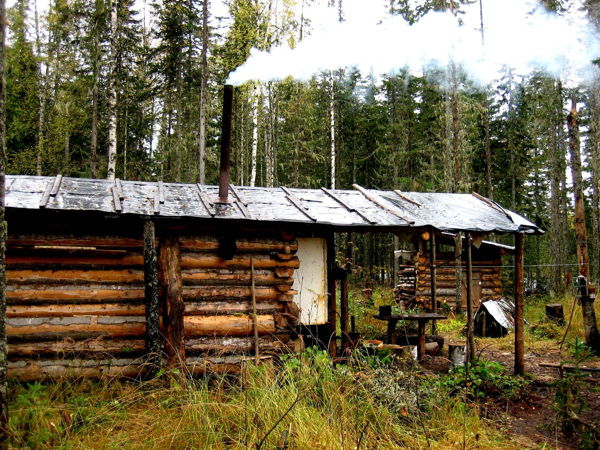 Лесные заимки фото