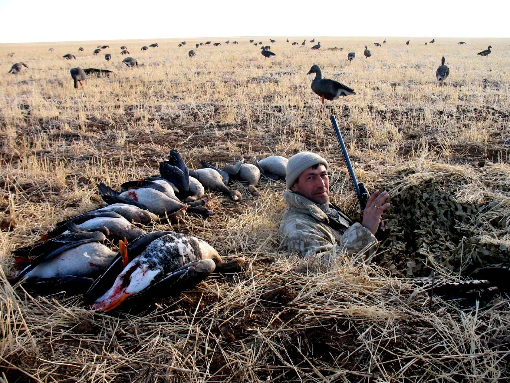 Где охотиться на гуся. Охота на гуся в Казахстане Аркалык. Охота на гуся в Аркалыке 2021.