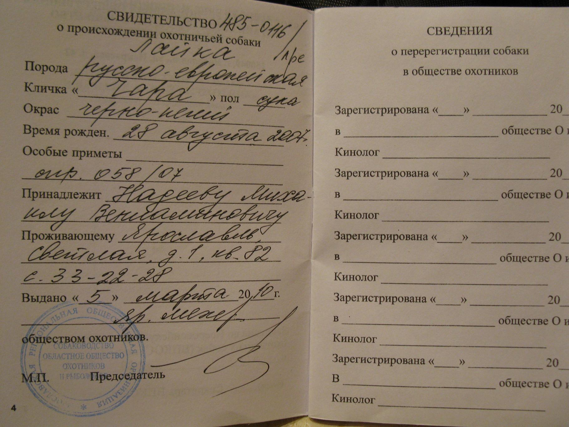 Клички охотничьих собак девочек зсл. Клички для собак мальчиков охотничьих собак. Имя для охотничьей собаки девочки. Клички охотничьих собак кобелей. Клички охотничьих собак кобелей.