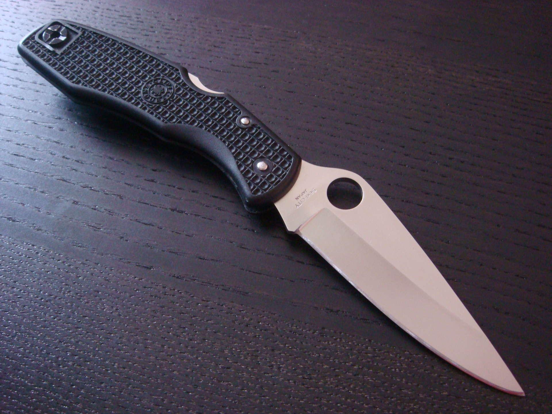 Spyderco endura