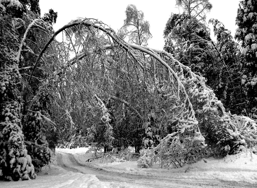 снежное б. снежное б. искусственный снег спрей. зима скамейка. снег во дворе.
