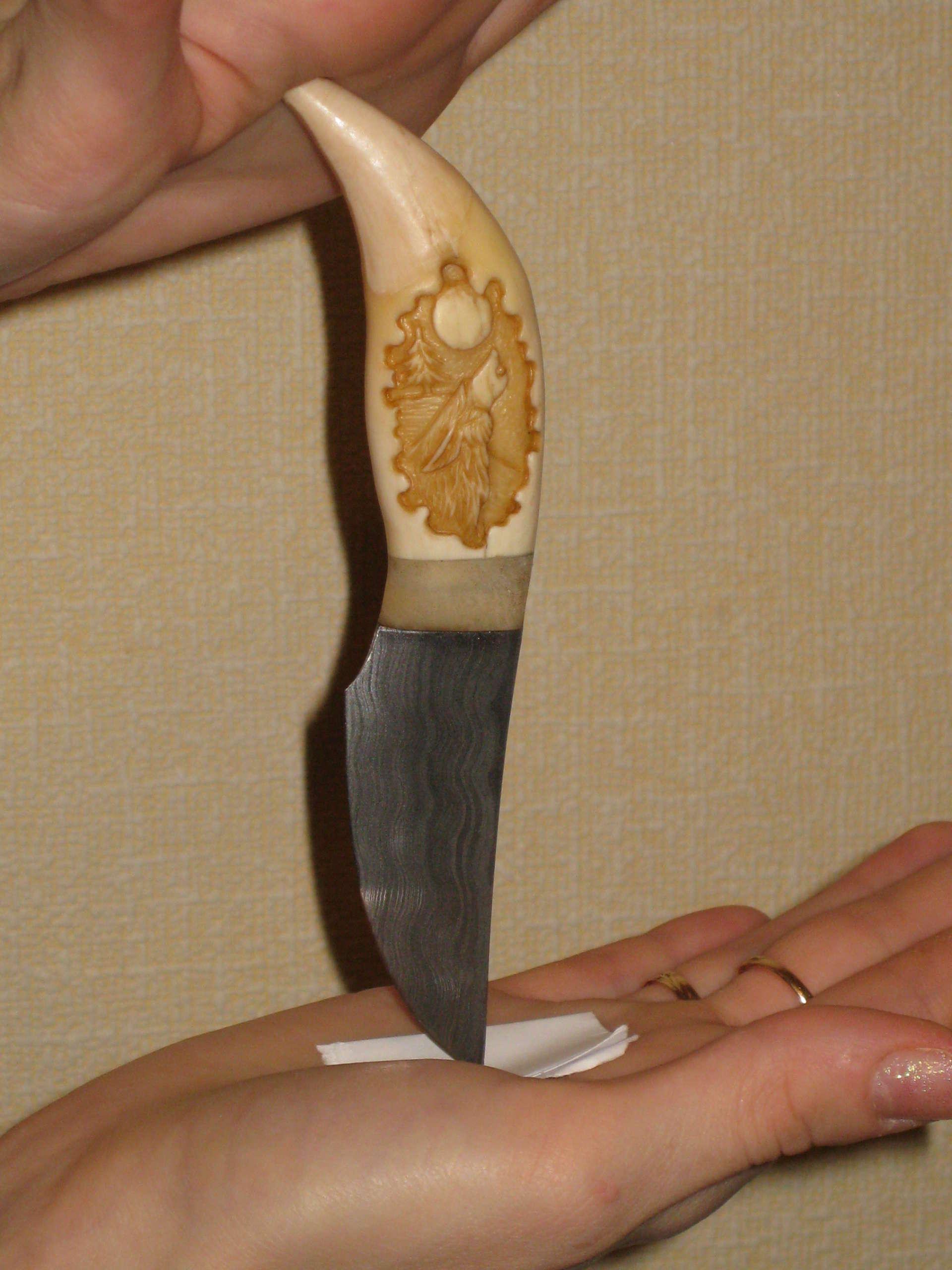 Клык своими руками. Клык своими руками. Украшение волчий клык. Клык своими руками. Клык медведя.