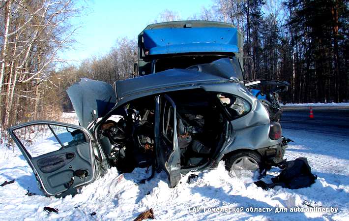 Авария на гомельской трассе вчера утром. Дтп трасса гомель. Дтп трасса гомель. Смертельное дтп в гомельской области. М5 гомель.