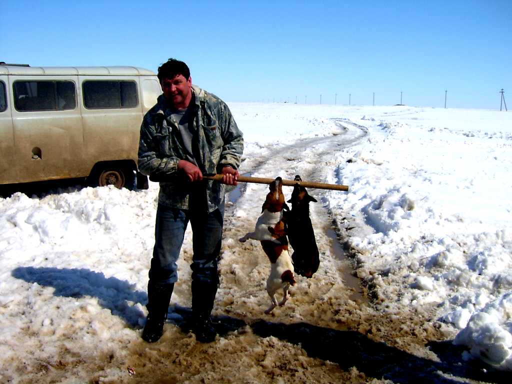 Работа в новоузенске. На весенней охоте снег. Весенняя охота 2021 на Камчатке. Охота в Гайском районе.