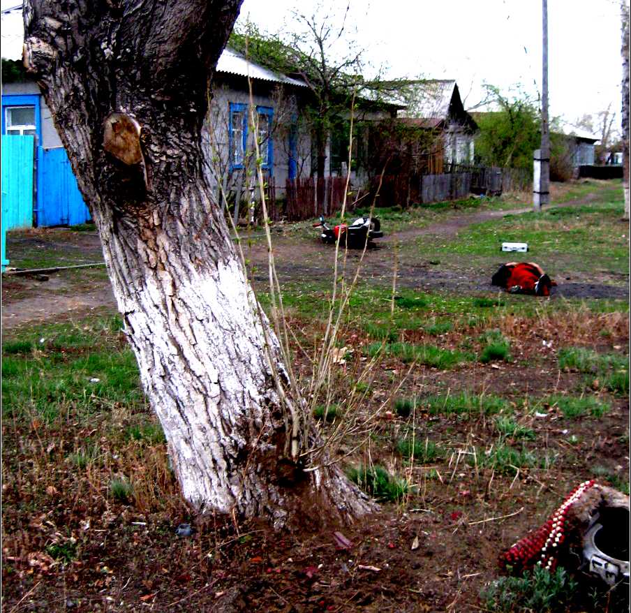 Погода в лукошино купинский. Новоселье село Купинский район. Купинский район село Медяково. Село новоселье Новосибирская область. Авария в новоселье Купинский район Новосибирской обл.