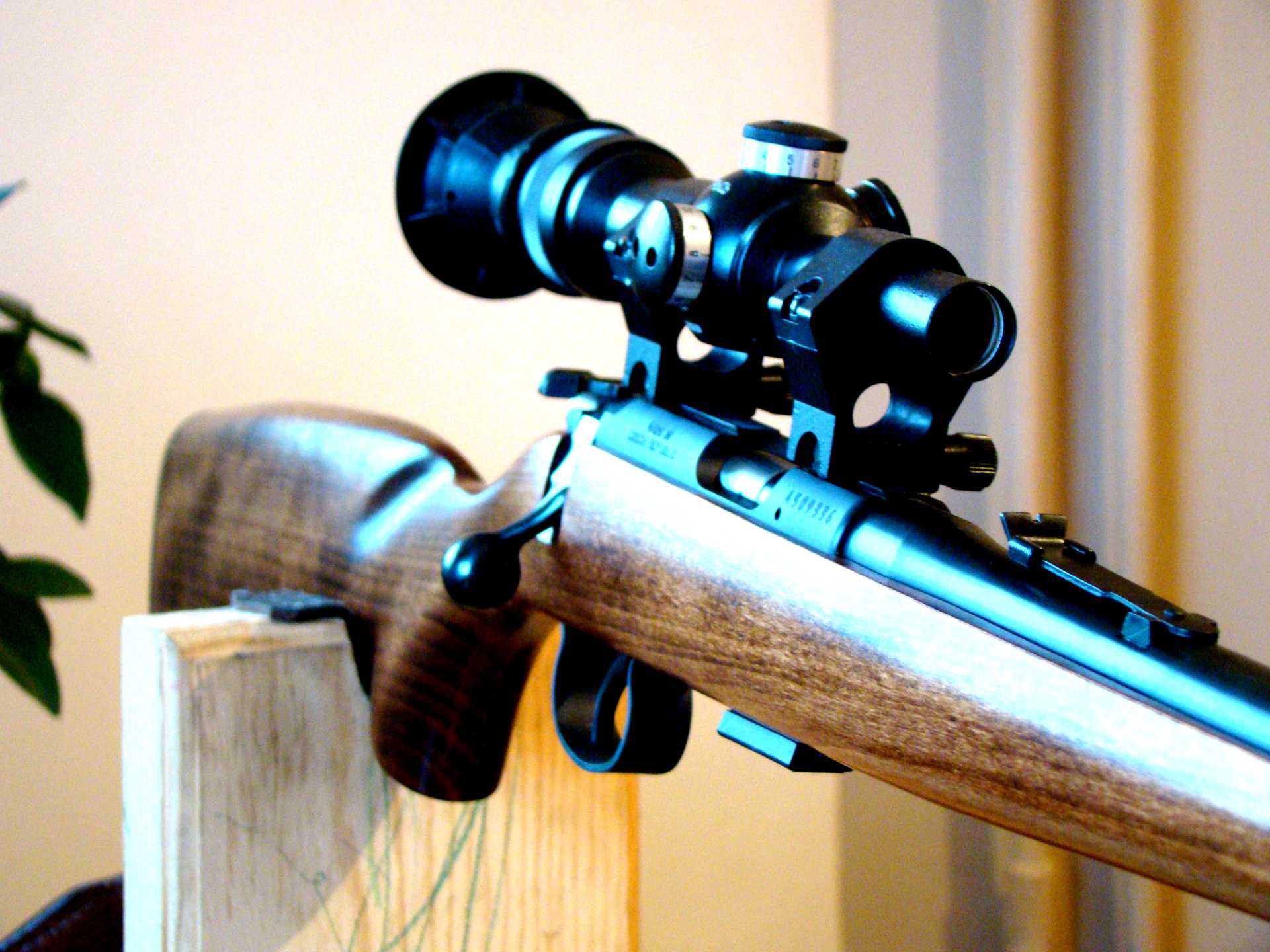 аншутц 1710 планка. чезет 223 калибр. Cz 455 22lr. лось 10 тактика. Anschutz 1710/1712.