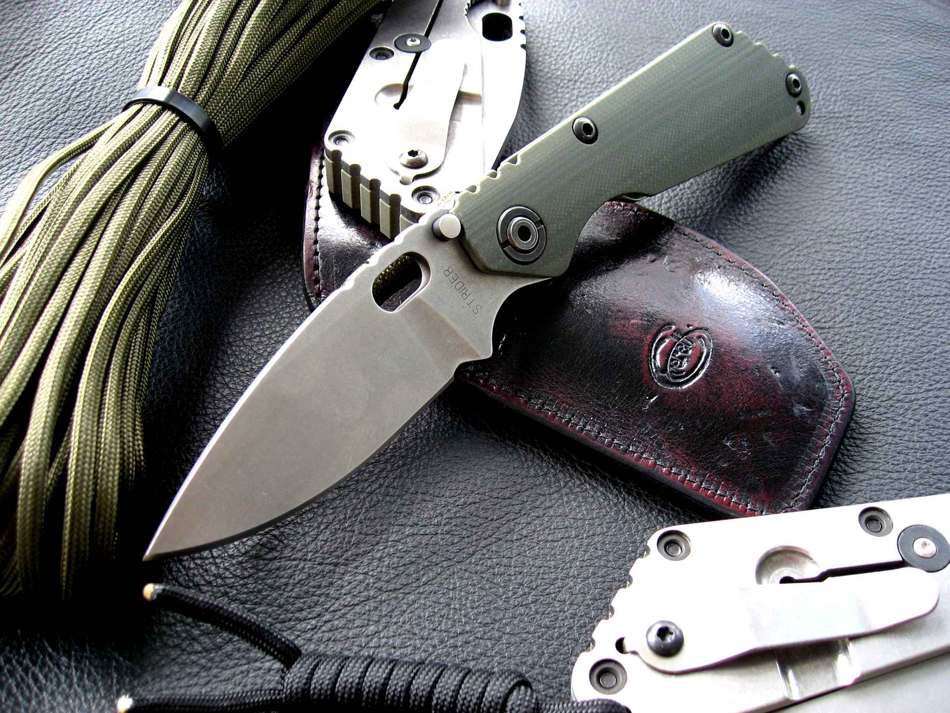 Ever 11. Нож складной Strider 313. Strider SNG MSC Performance СС. Strider SNG нож оригинал. Strider SMF tad Gear.