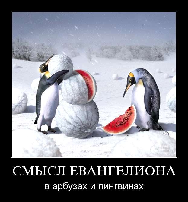 И снова зима весной. Зимние котики. Внутри меня непобедимое лето альбер камю. В платье в снегу летнем. Утро самое отвратительное время суток я его ненавижу особенно зимой.