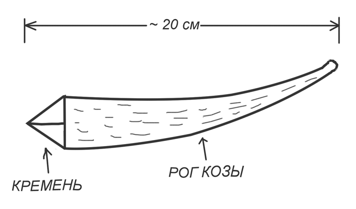 Строение рога козы. Рога козы выкройка. Рожки выкройка. Выкройка Рогов козы.