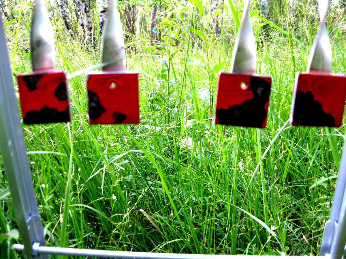 Мишени для пневматики своими руками интересные идеи фото