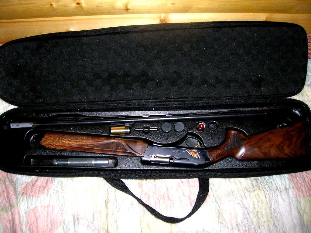 Фабарм 38. Фабарм лион н 38. Фабарм 38. Фабарм 38. Fabarm h38 lion hunter.