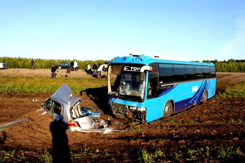 Погода в троицком алт. Автобус Сибирь. Автобус Омск Алтай.