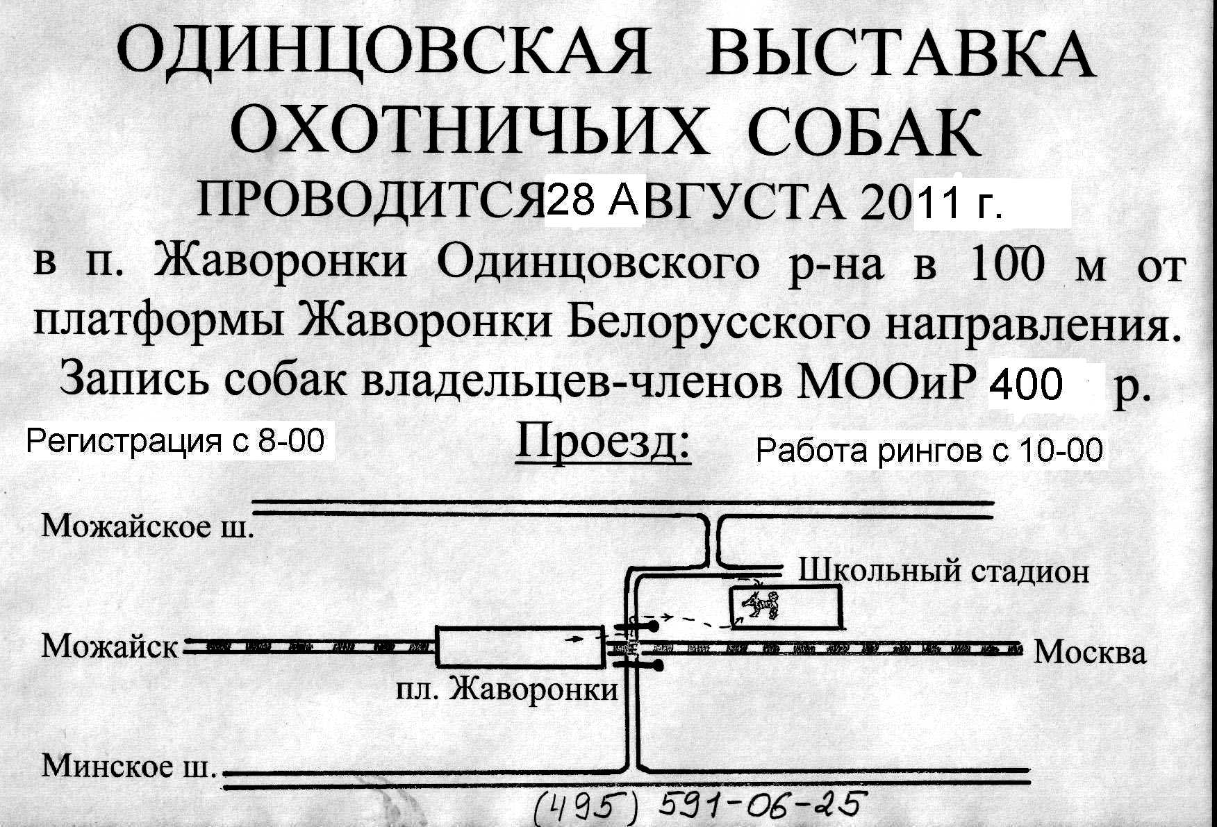 Расписание электричек белорусского до жаворонках. Одинцовская выставка охотничьих собак.