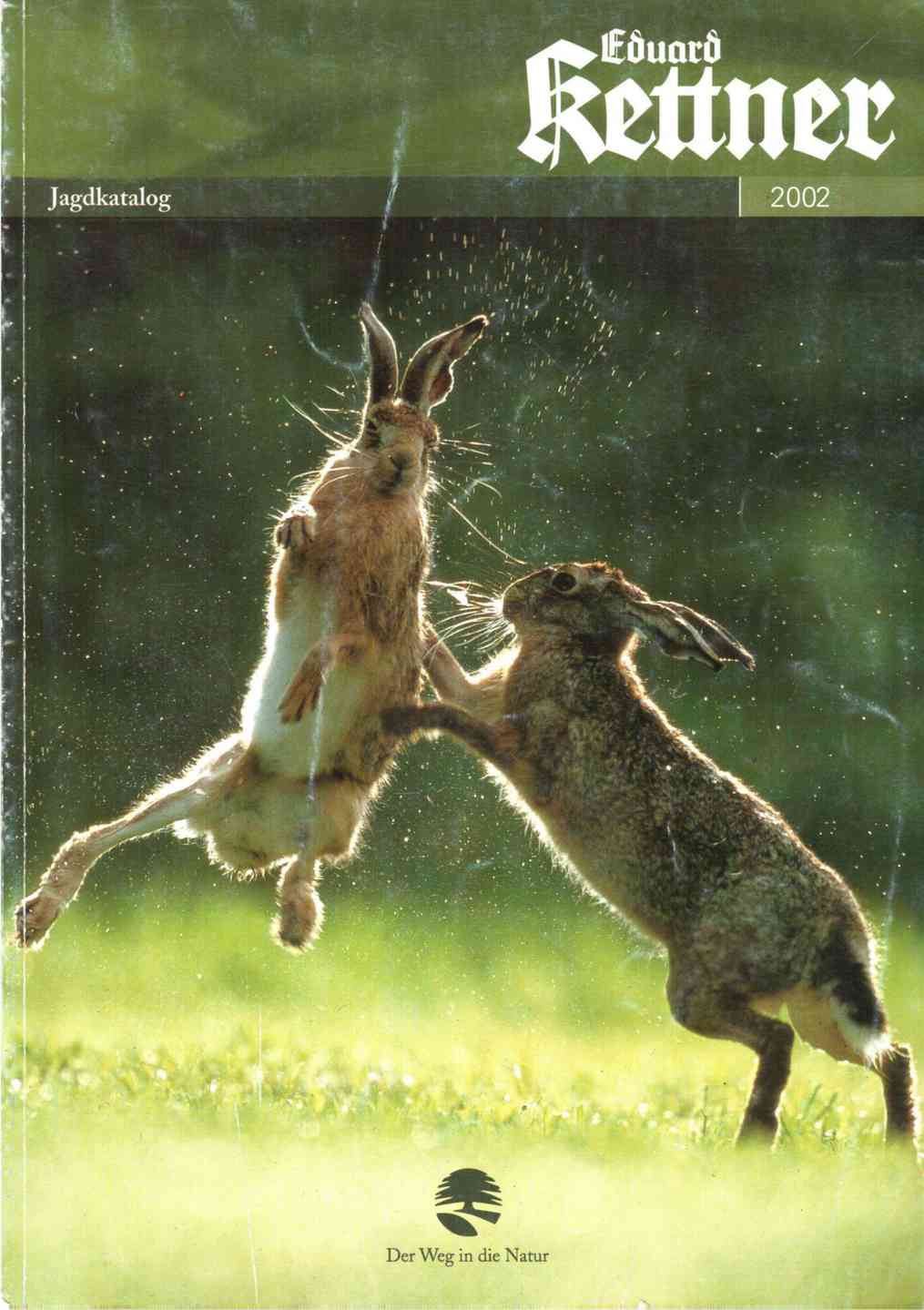 Кролики дерутся