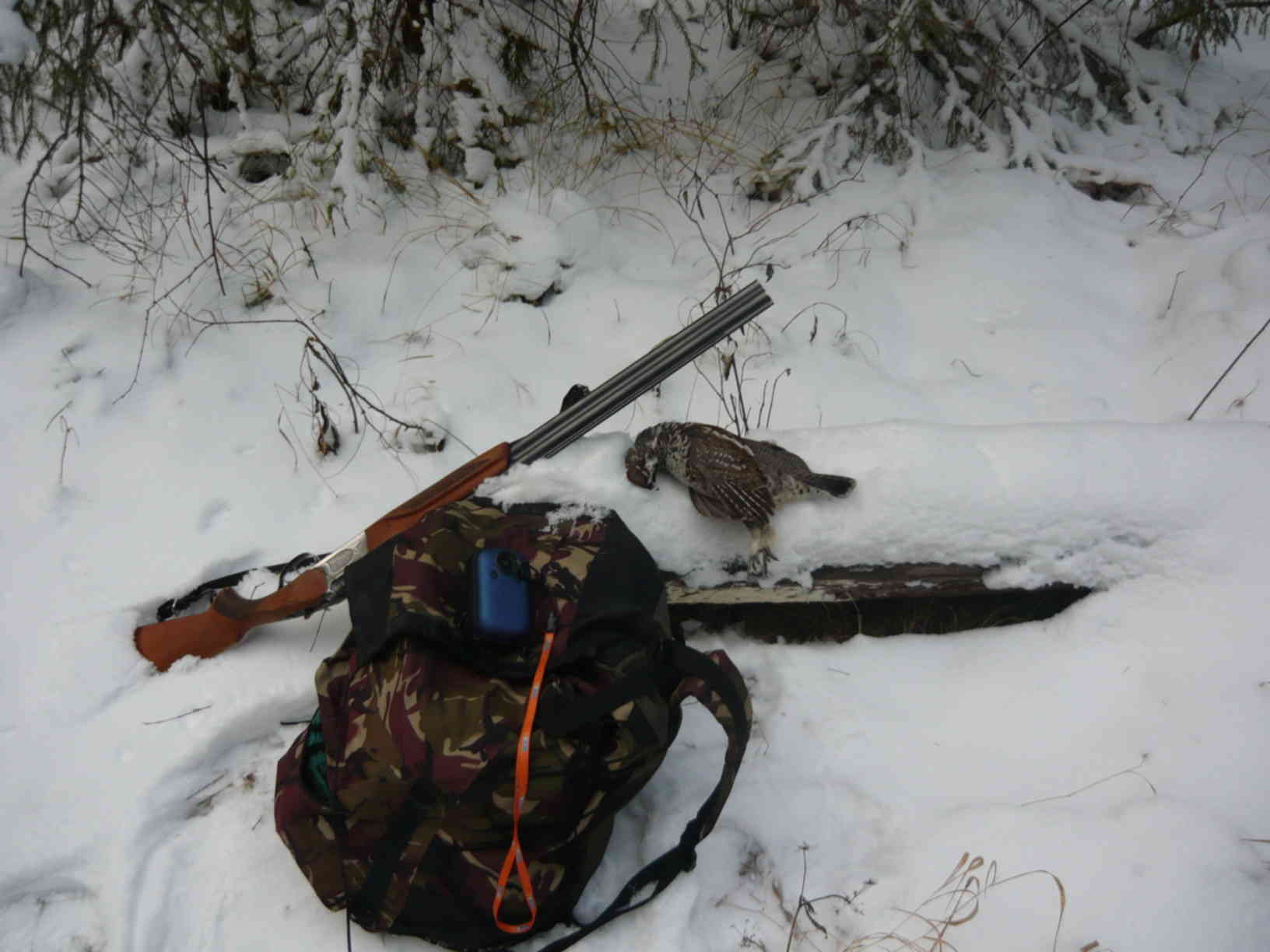Охота с ружьем зима