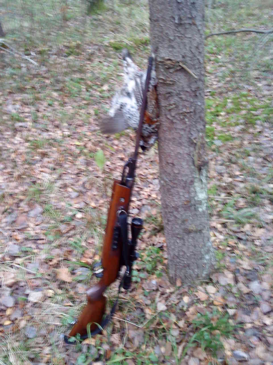 Хатсан 125 6. Охота с хатсан 125. Охота с хатсан 125. Охота с пневматикой хатсан 125. Охота с пневматикой хатсан 125.