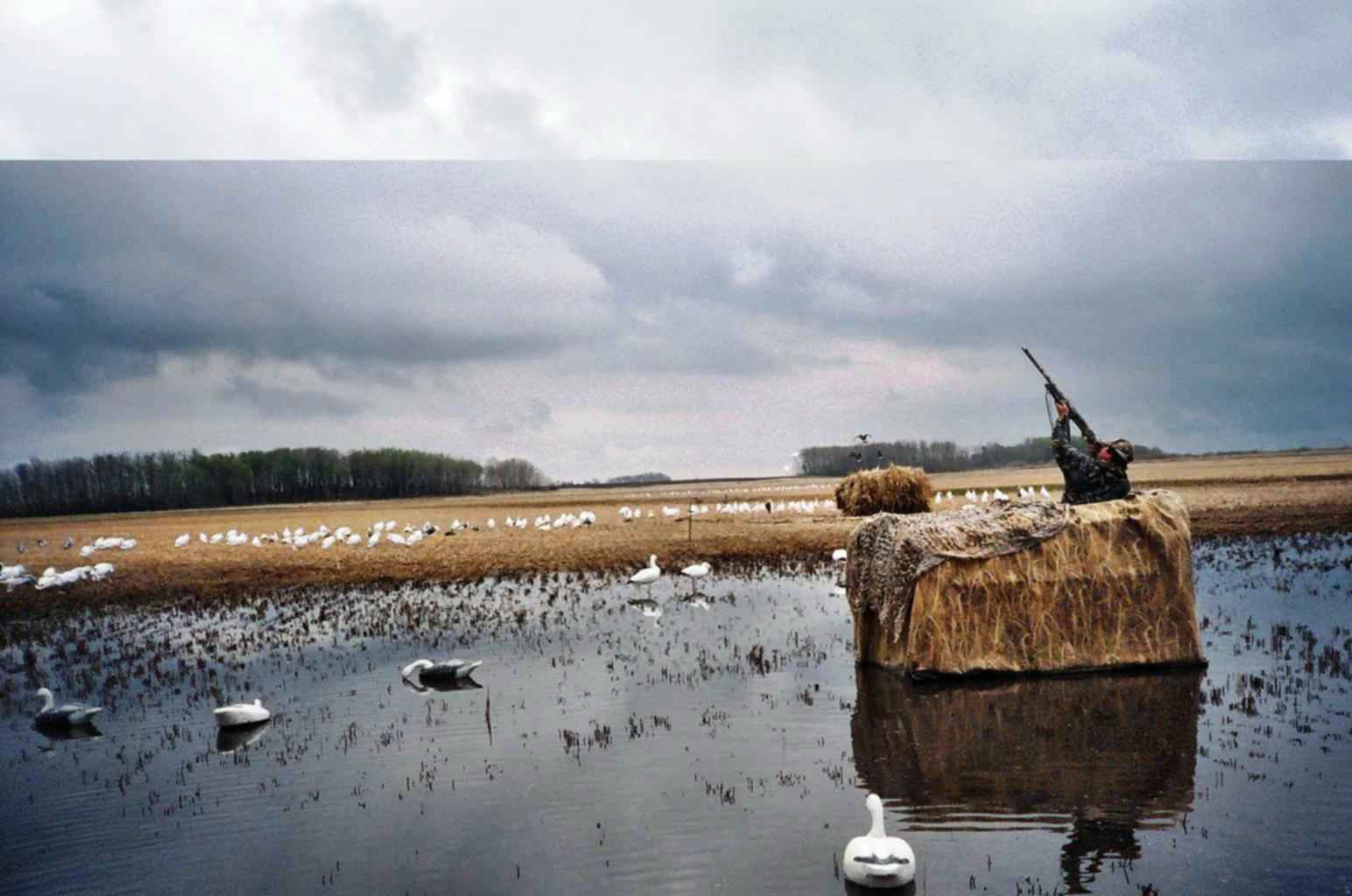 Плавщий скрадок для охоты на уток