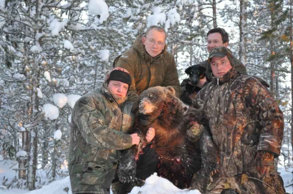 Фото Добытого Медведя