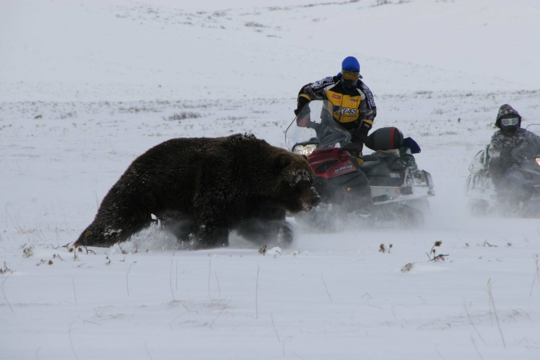 Snowmobile Crash Compilation