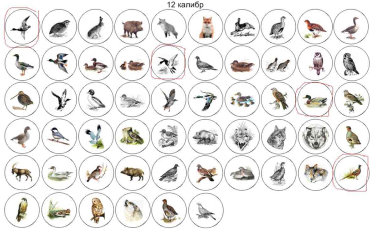 Наклейки На Патроны 12 Калибра Купить