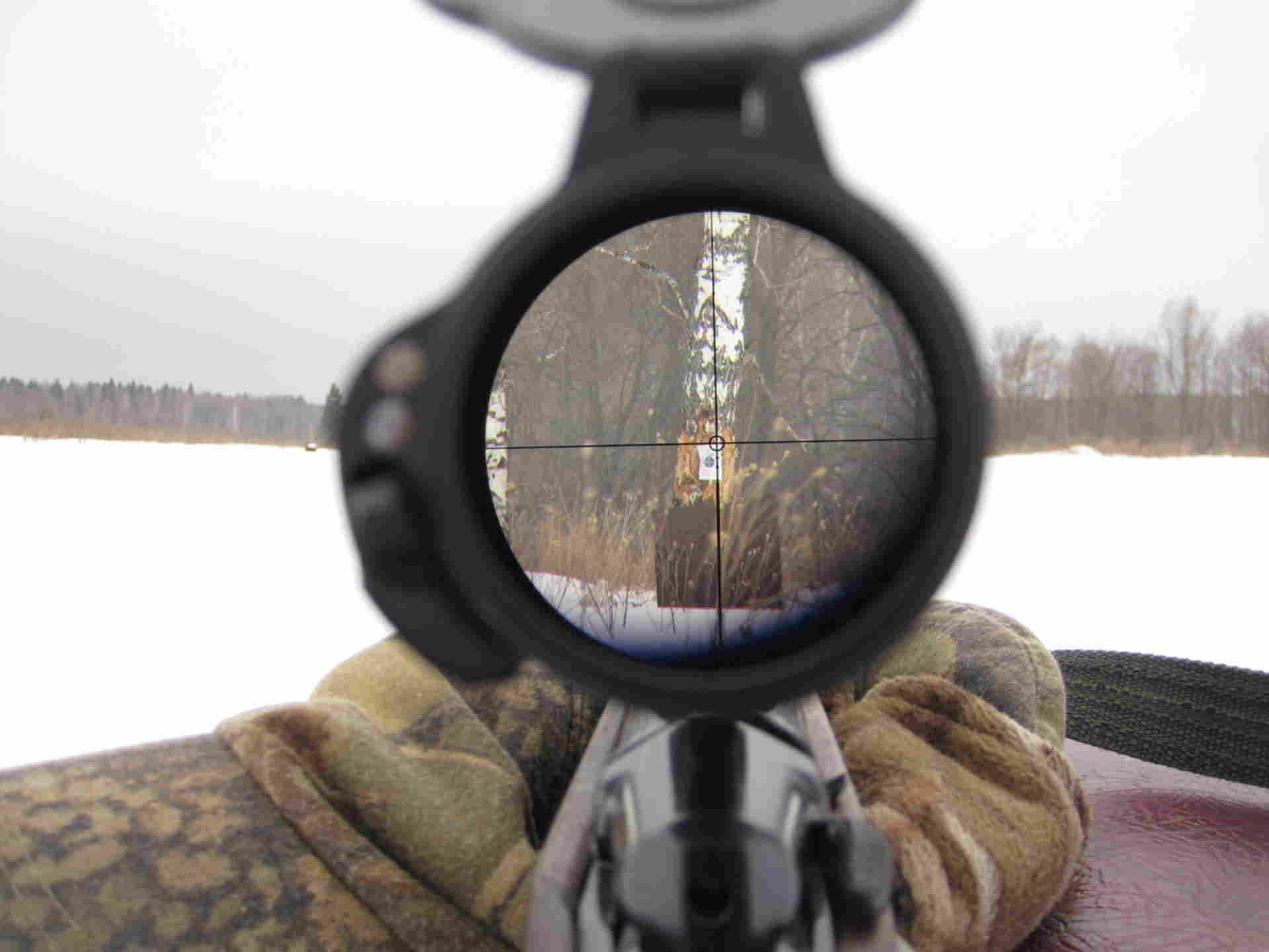 Через прицел 3. Люпольд 3-9х50. Снайперский прицел dxl3. СВД С прицелом Leupold. Leupold lco коллиматор.