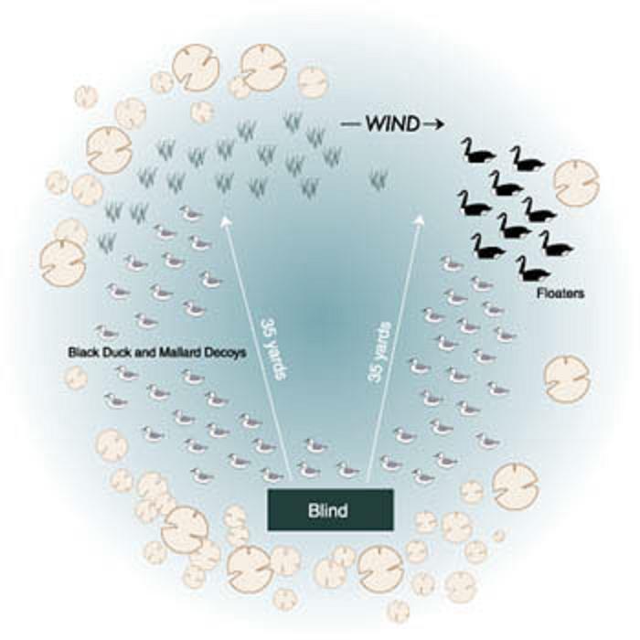 Схема расстановки чучел уток на охоте