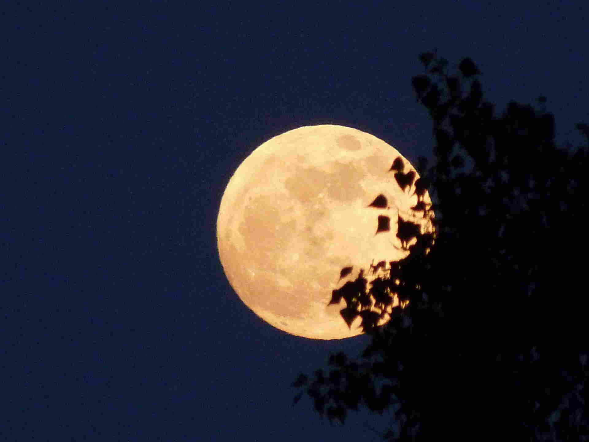 Красивая луна ответ. Огромная Луна на небе. Фото Луны. Луна сейчас. Луна сейчас красивая.