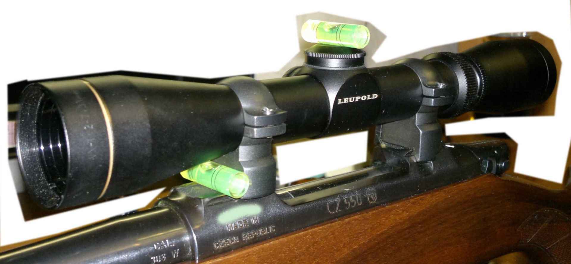 Leupold dvo