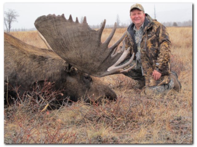 Самые большие рога лося. Какой вес лося. Какой вес лося. Продолжительность жизни лося в природе. Какой вес лося.