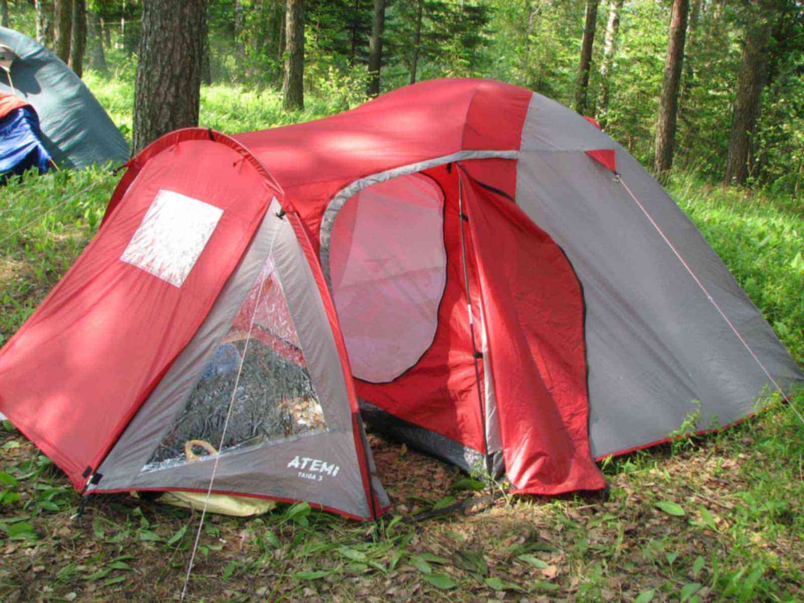 Палатка туристическая купить авито