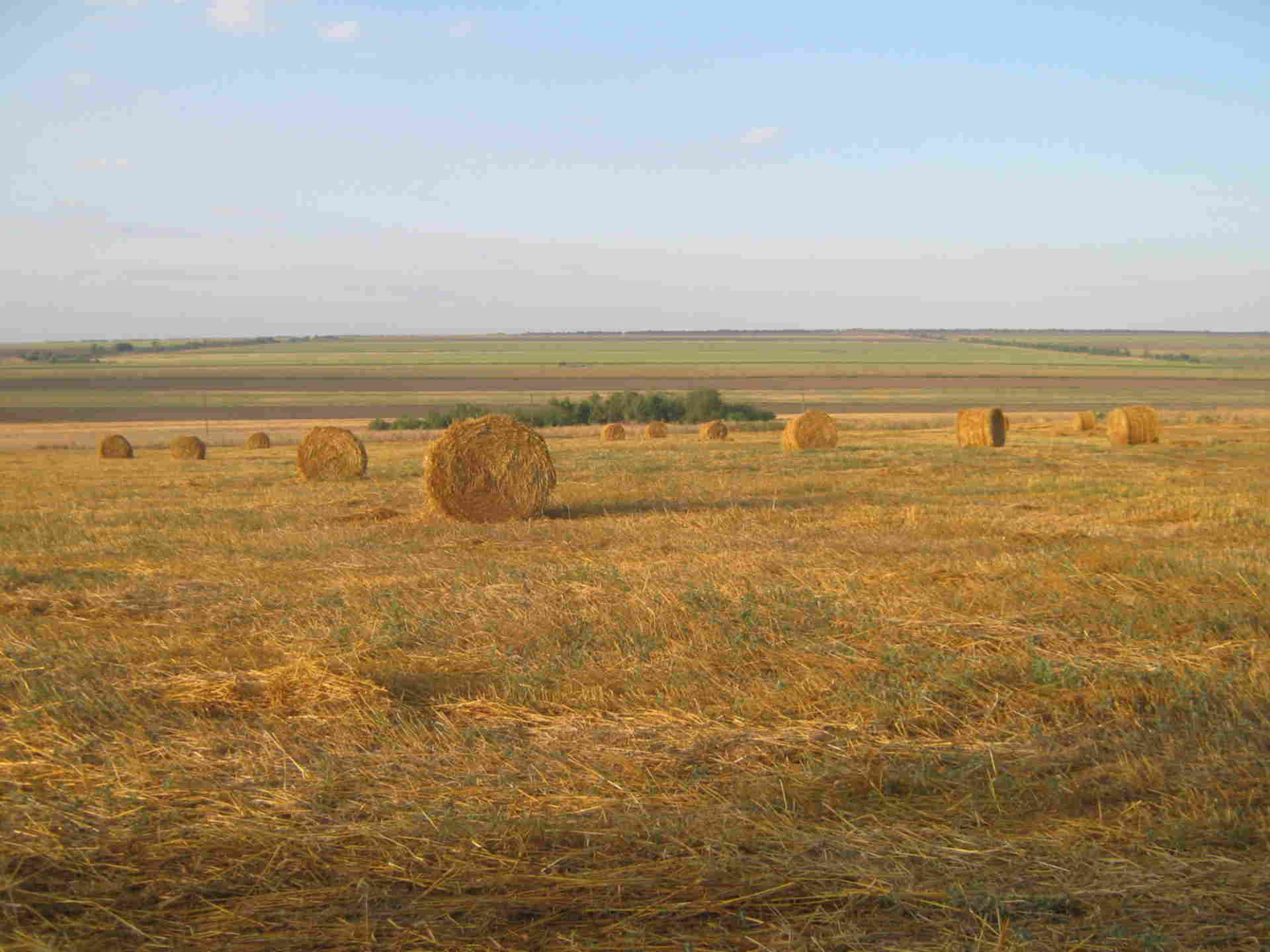 Кубанская степь. Кубанская степь Краснодарский край. Степи Ставропольского края. Краснодар степи. Степи и лесостепи Ставропольского края.