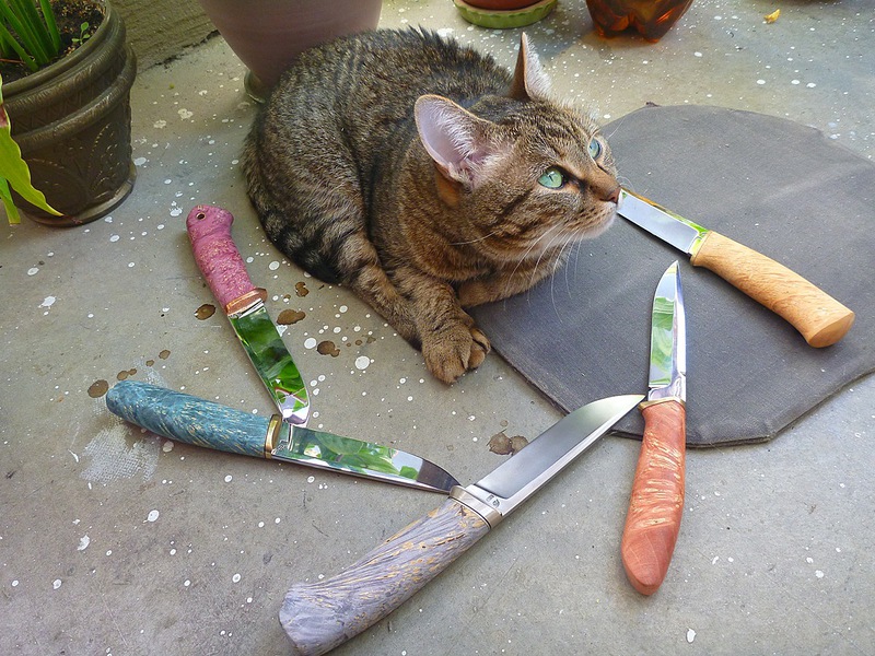 Кошка с ножом рисунок