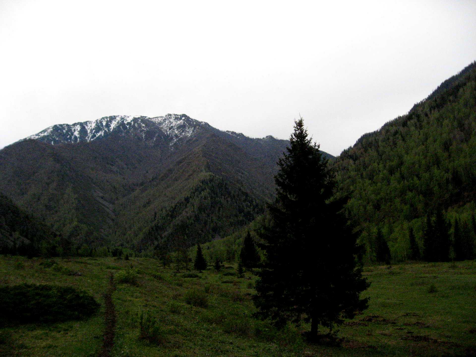 гора три медведя в тыве