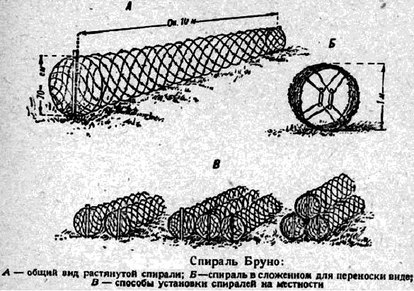 Спираль бруно что это такое фото