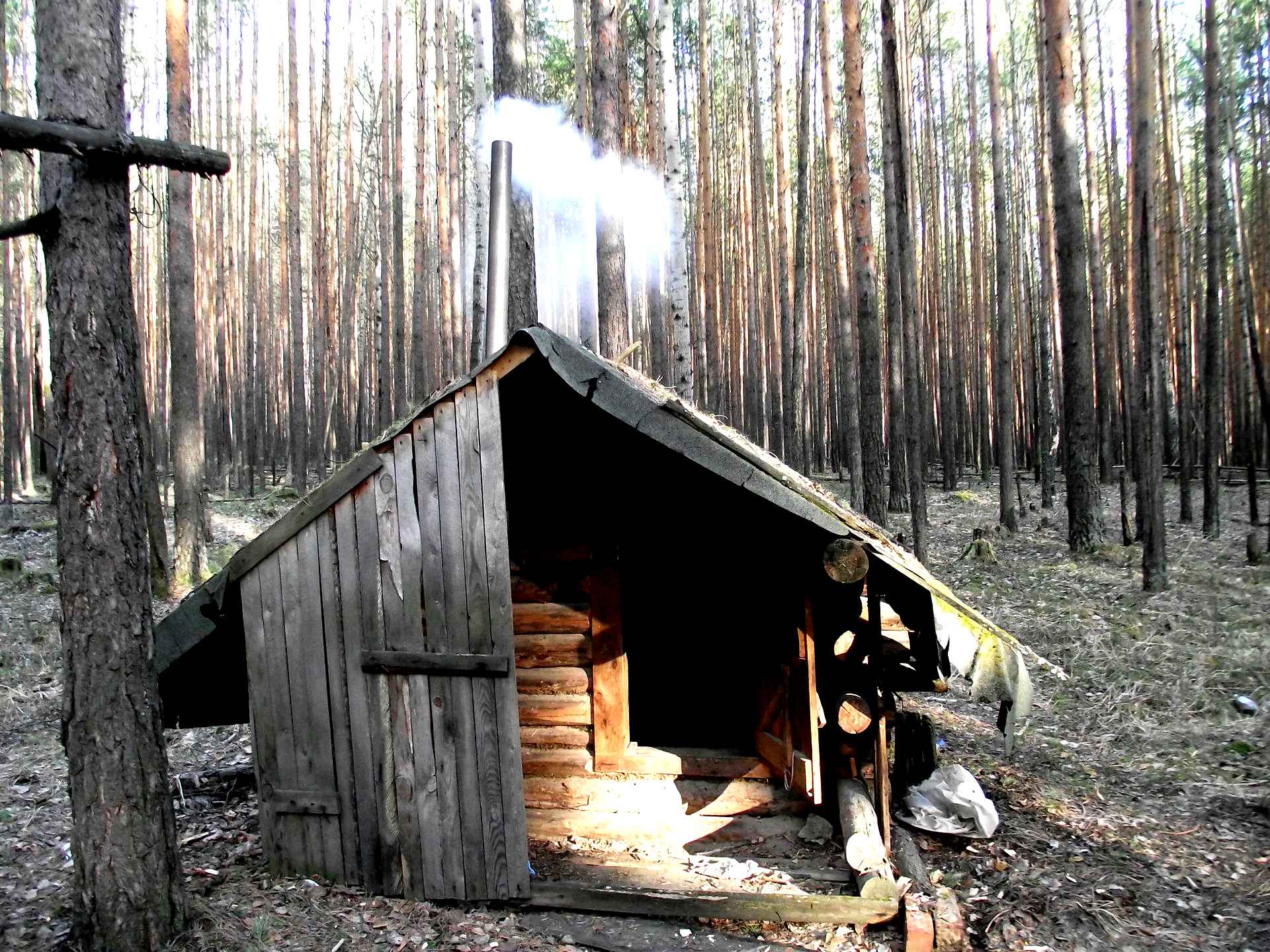 Страшная Ночь В Зимовье В Лесу Фото