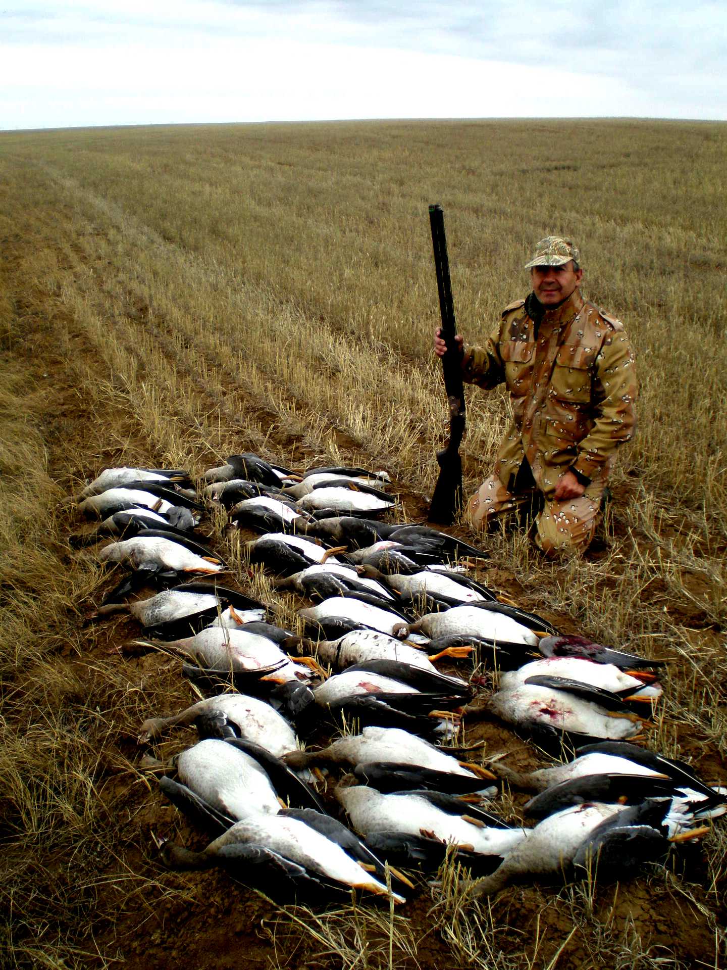 Охота на гуся в Казахстане Аркалык