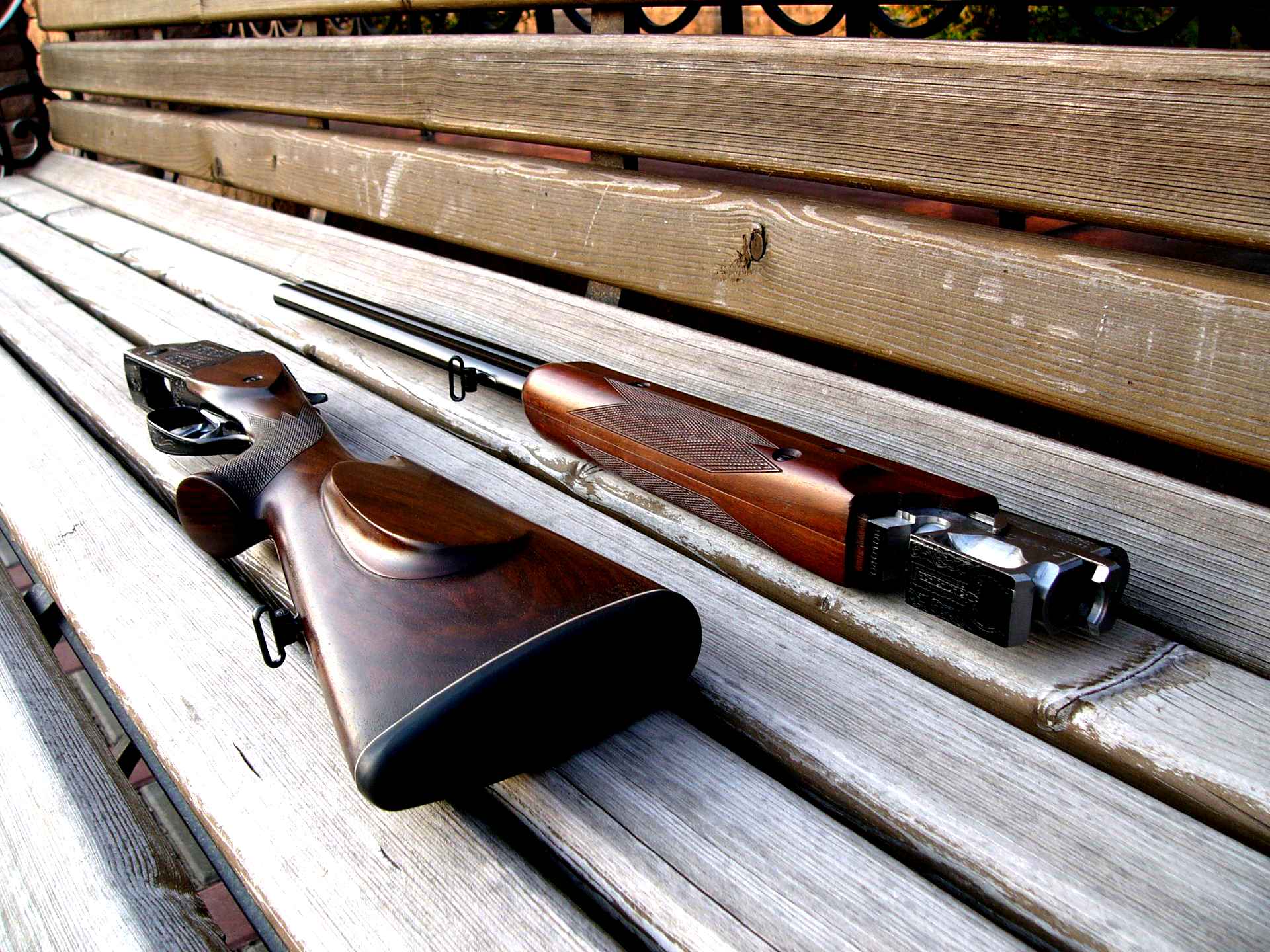 Мц-105-20. Мц для охоты. Мц-125 карабин. Мц для охоты. Дробовик мц 255.