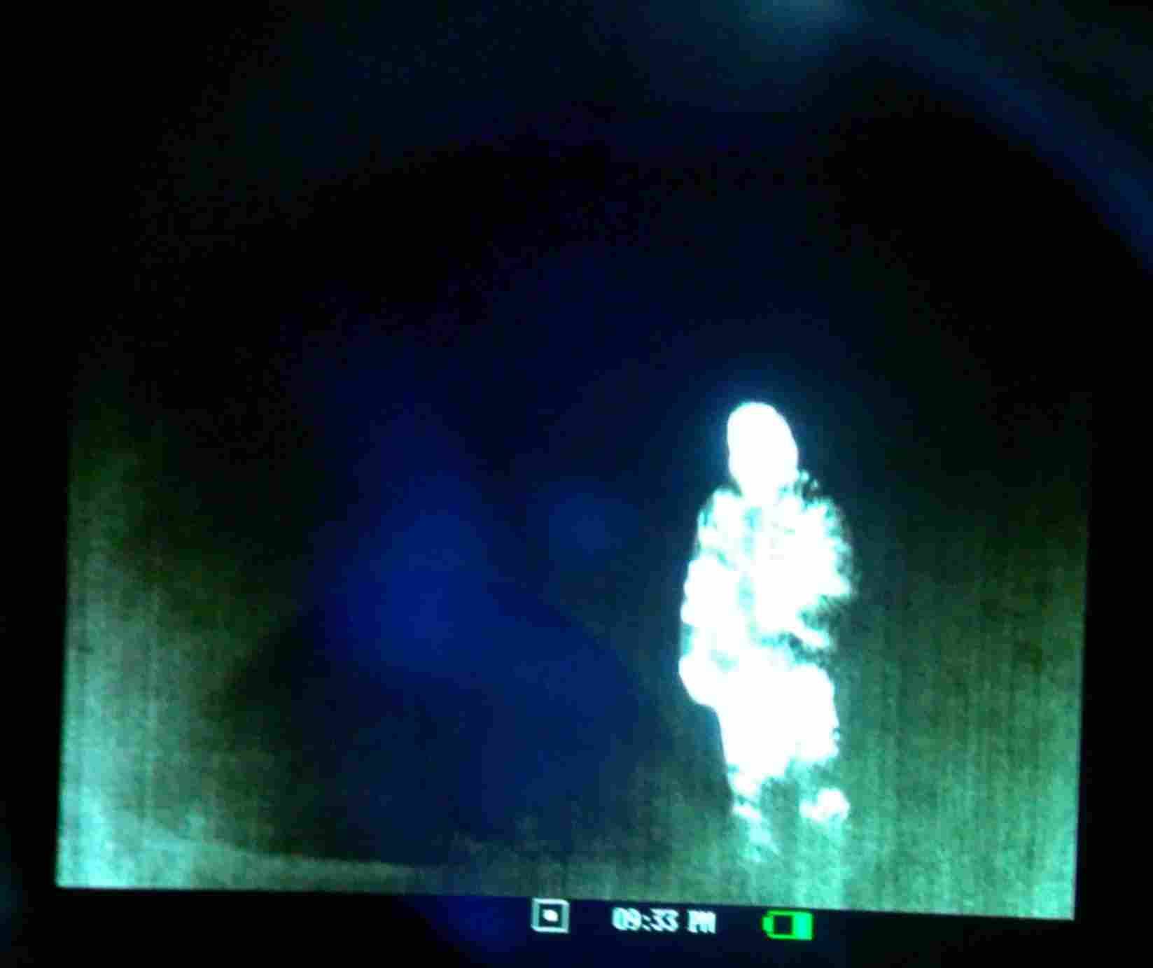 Тепловизионный контроль. Тепловизор. Thermal camera flir. Что фиксирует тепловизор в темноте. Хищник зрение в тепловизор.