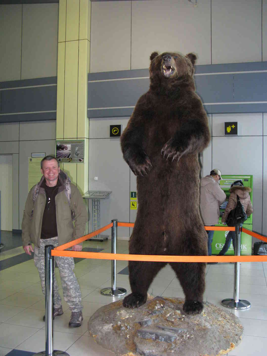 DNA Evidence Reveals Hank the Tank Isn’t One Bear, but Several The New York Ti