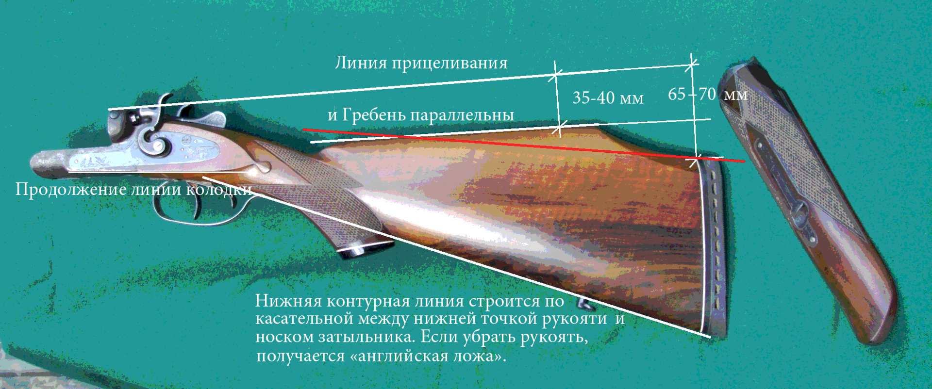 Чертеж приклада ружья