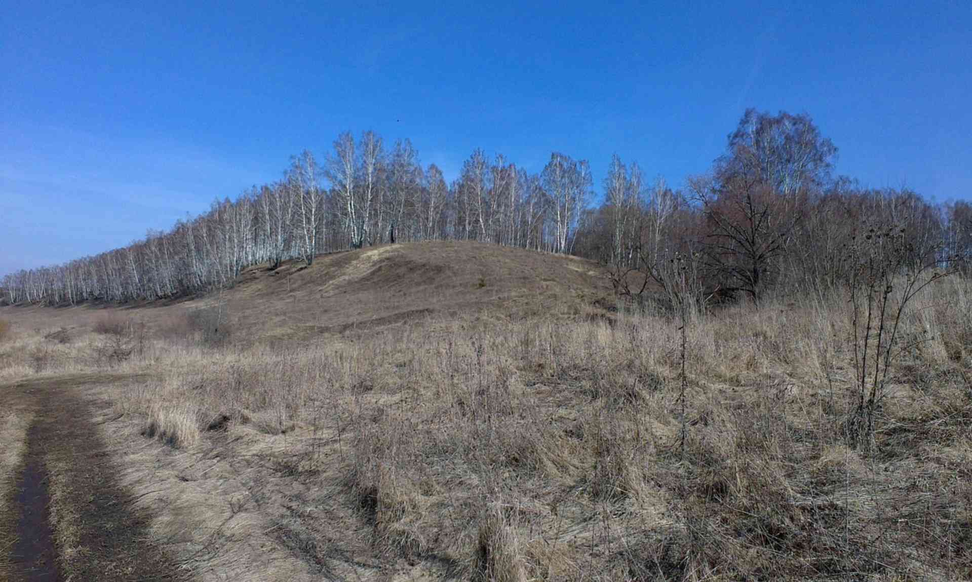 Стенки Изгорья. Стенки Изгорья Белгородская область. Заповедник стенки Изгорья. Стенки Изгорья фото.