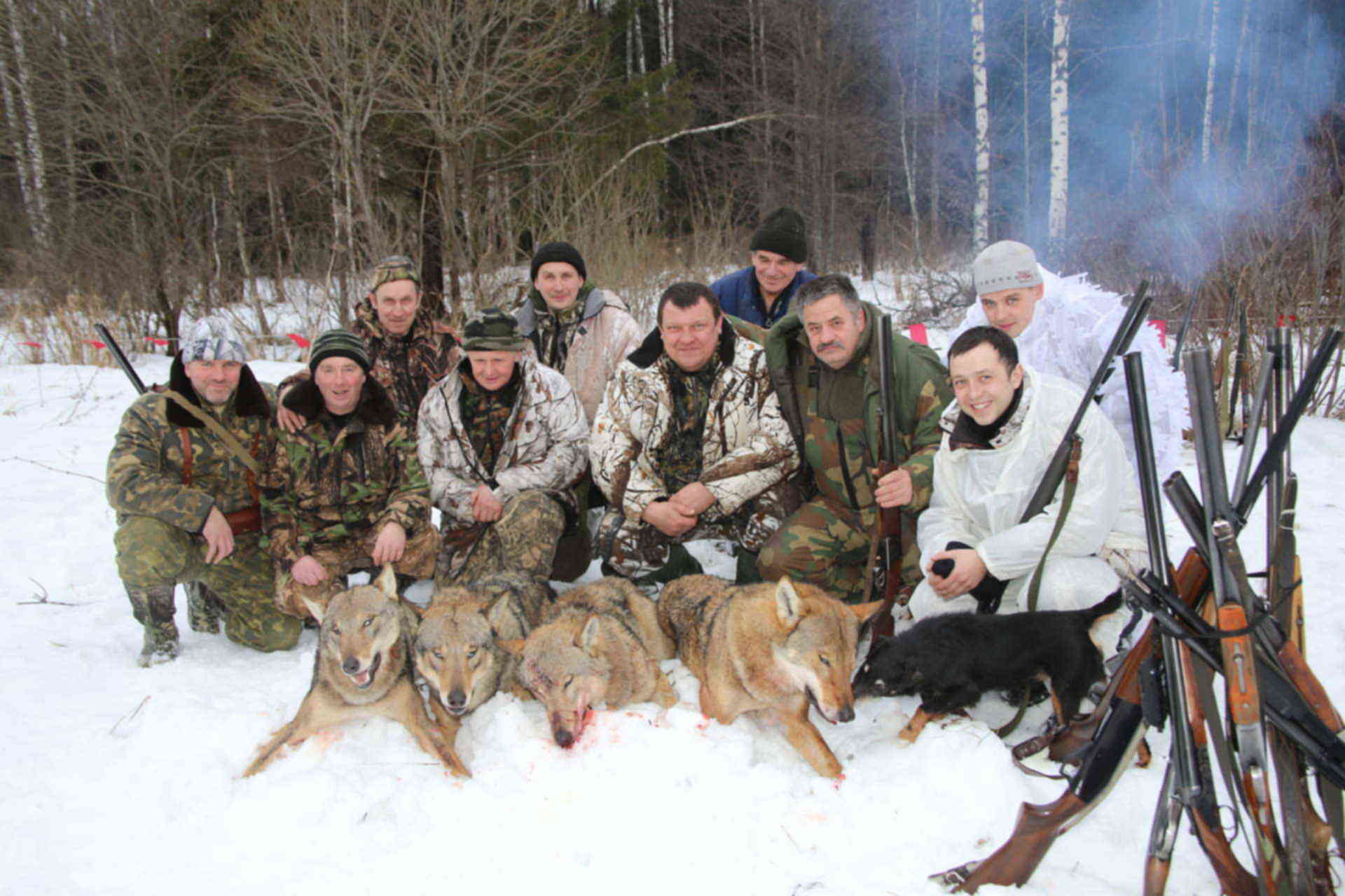 Первая группа охотники. Охота на волка в Брянской области.