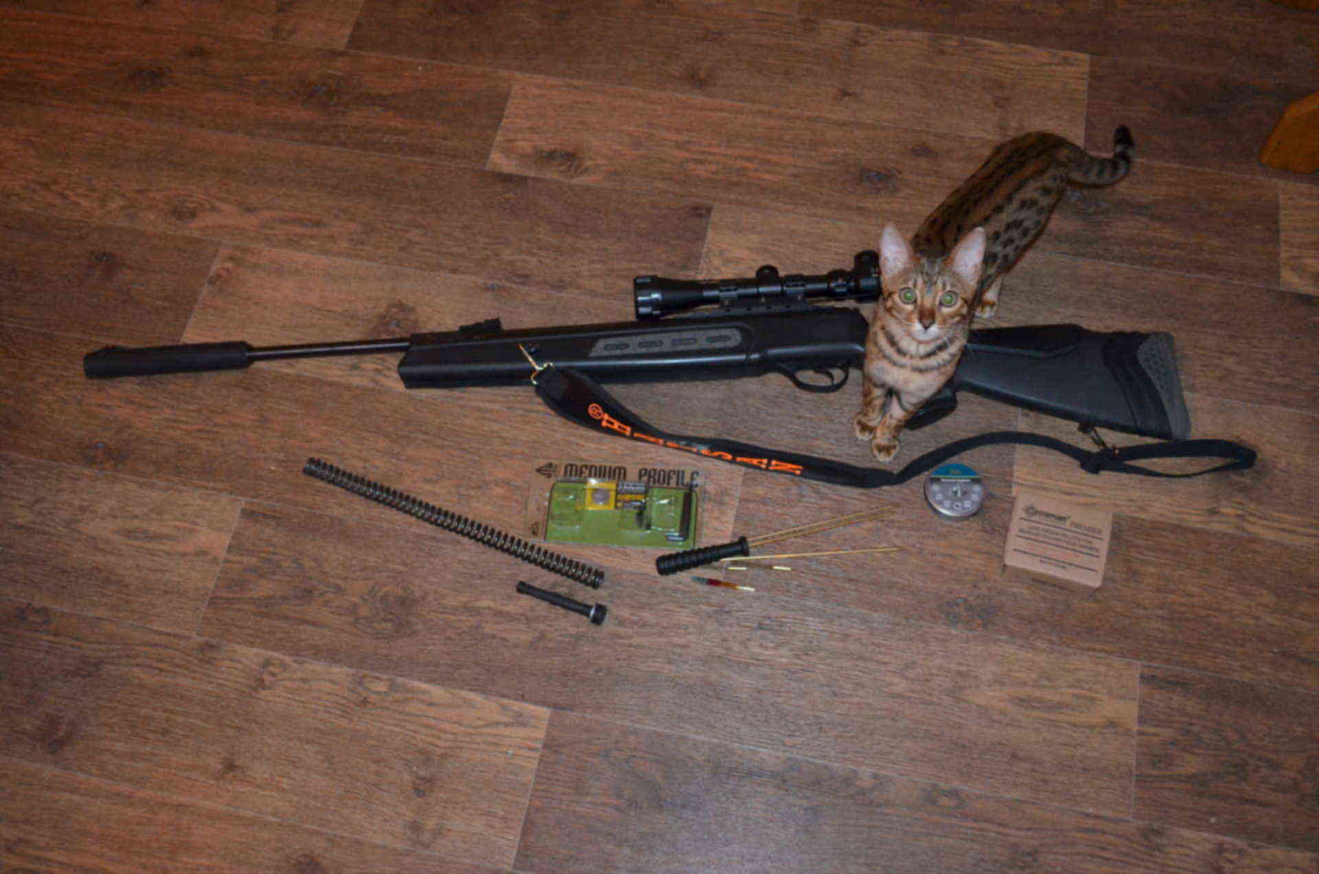 35. охота с воздушкой хатсан 125. Hatsan mod 25. стрельба хатсан. винтовка хатсан 125 снайпер.