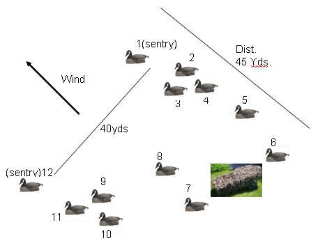Схема расстановки чучел уток на охоте