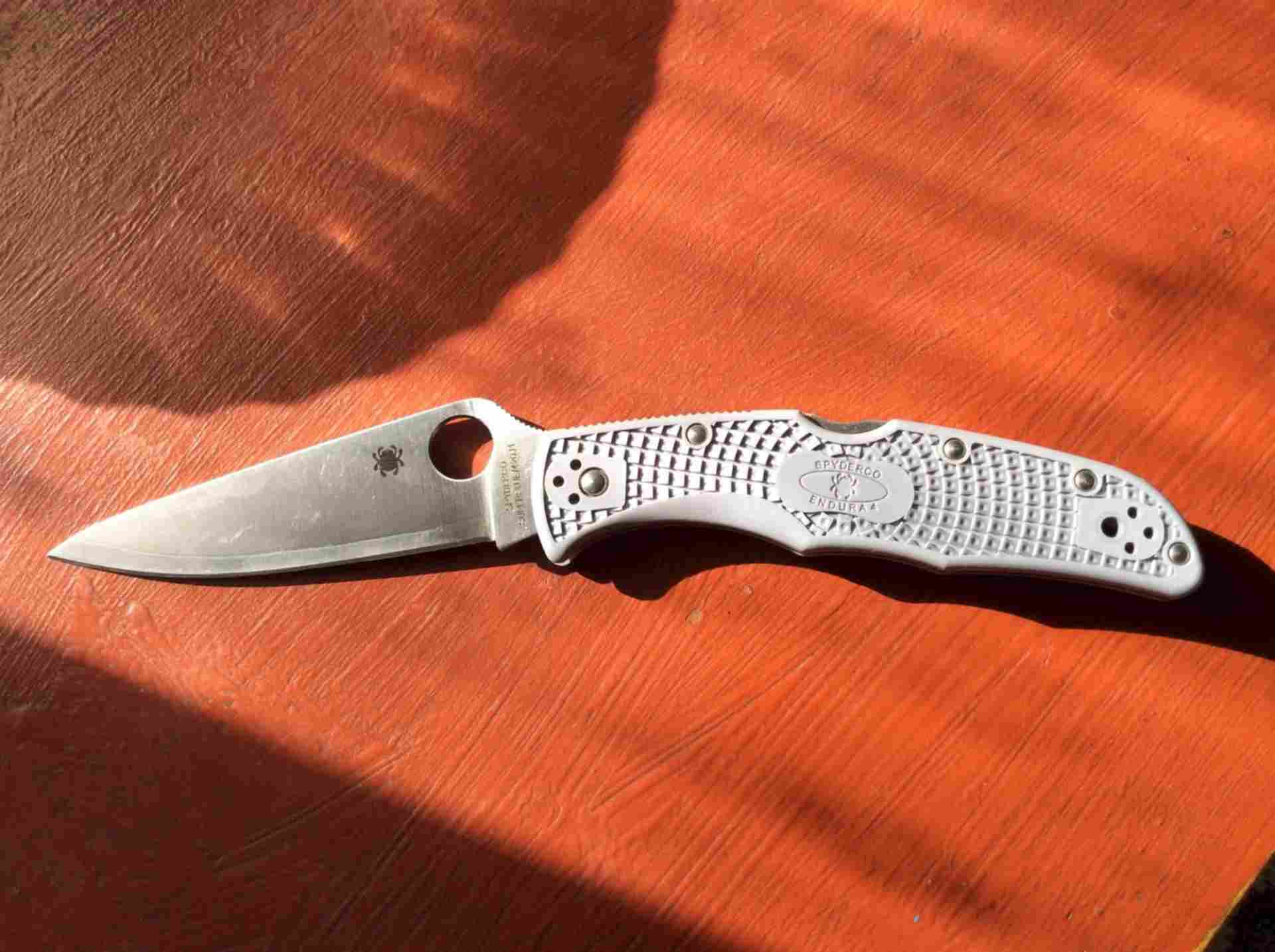 Spyderco endura