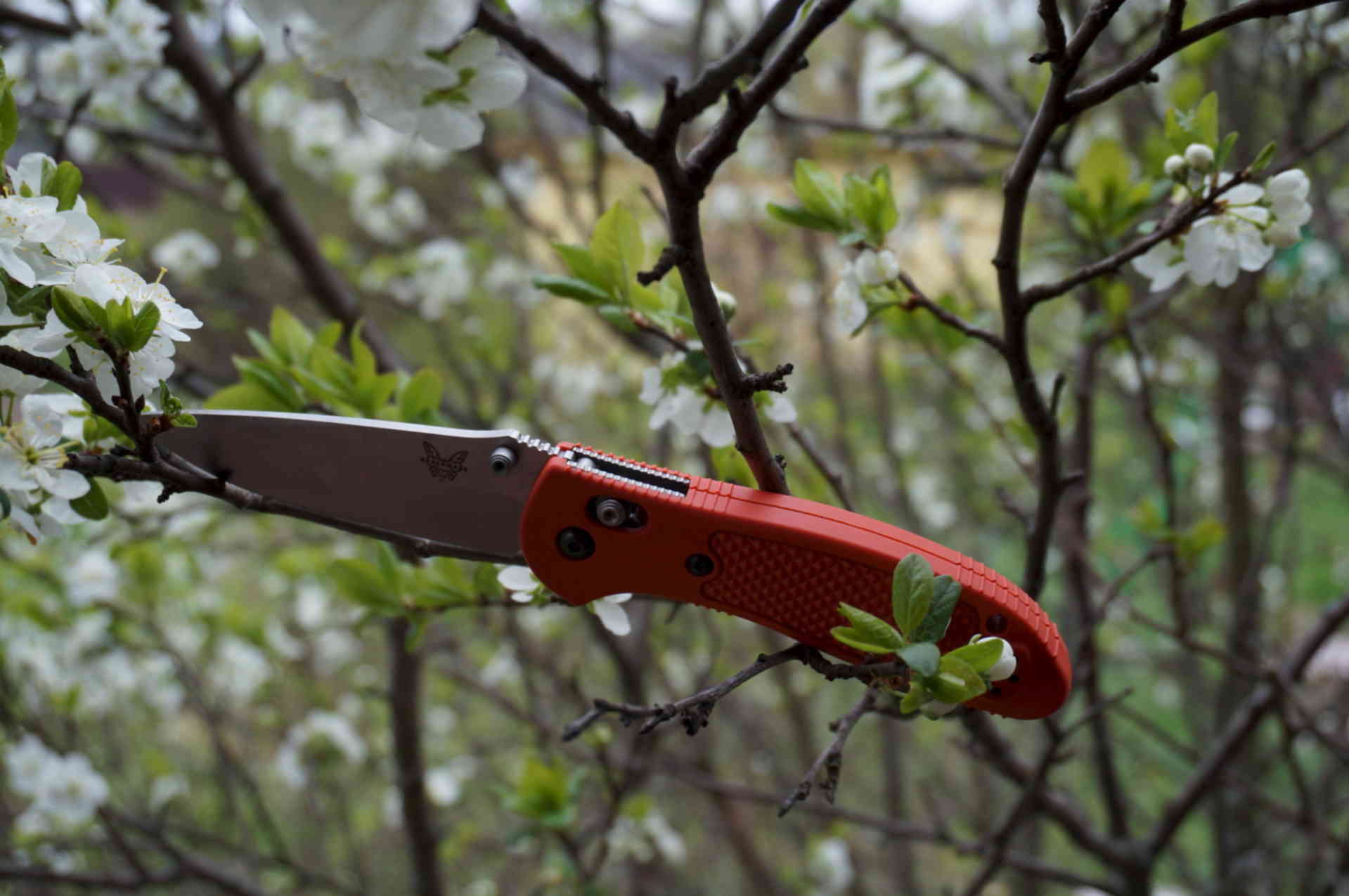 цветы и холодное оружие. нож с цветочками. оружие и цветы. нож розочка. кинжал цветок.