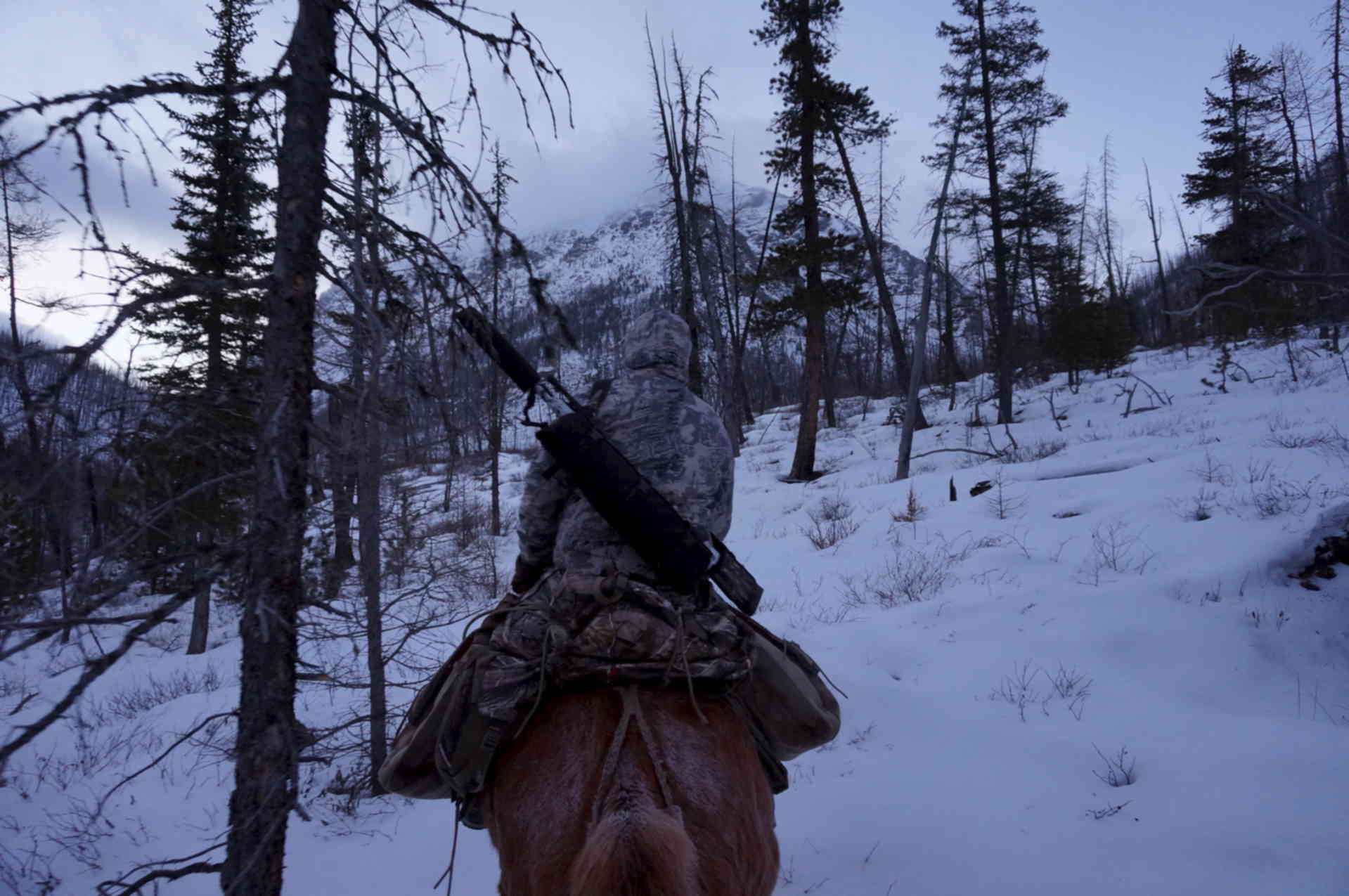 Охота горном алтае. Охотник в горах. Охотник зимой со спины. Охотник в лесу. Охотник в горах с ружьем.